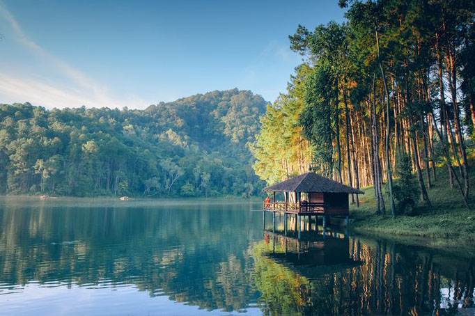 Lake, forest, pine tree, mountain, village, fresh air, beauty, camping, relax, nature, bathing, Thailand